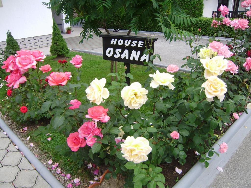 House Osana Ξενοδοχείο Grabovac  Εξωτερικό φωτογραφία